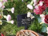 image of grave number 908902